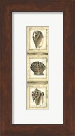 Mini Rustic Shell Panel I Fine Art Print