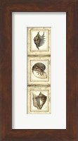Mini Rustic Shell Panel II Fine Art Print