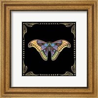 Cloisonne Butterfly Fine Art Print