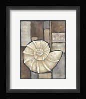 Abalone I Fine Art Print