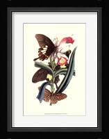 Butterflies and Flora I Fine Art Print