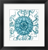Ocean Gems II Fine Art Print