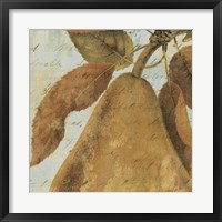 Joli Fruit II Fine Art Print