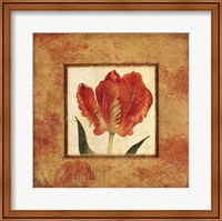 Les Tulipes II Fine Art Print