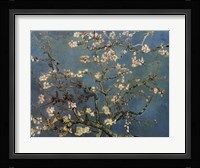 Blossoming Almond Tree, Saint-Remy, c.1890 Fine Art Print