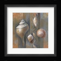 Ocean Treasures I Fine Art Print