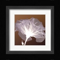 Awaiting Bloom Fine Art Print