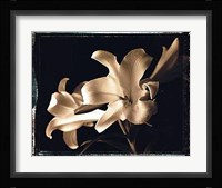 Bermuda Lilies Fine Art Print