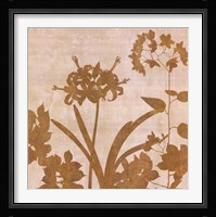 Golden Reflections II Fine Art Print