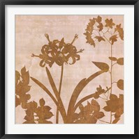 Golden Reflections II Fine Art Print