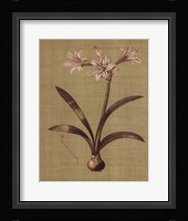 Botanica Verde I Framed Print