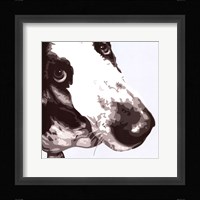Bassett Hound Framed Print