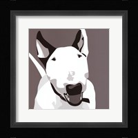 Bull Terrier Framed Print