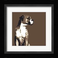 Boxer Framed Print
