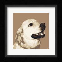 Golden Retriever Framed Print