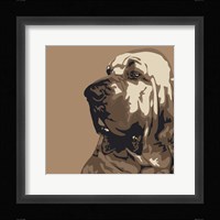 Bloodhound Framed Print