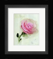 Pink Rose Fine Art Print