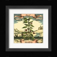 Basil Fine Art Print