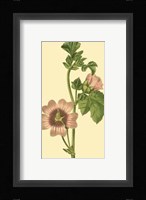 Tropical Ambrosia II Fine Art Print