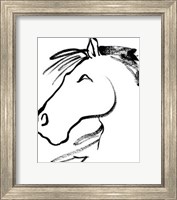 Equine Profile I Fine Art Print
