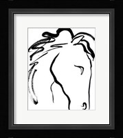 Equine Profile II Fine Art Print