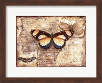 Poetic Butterfly I Fine Art Print