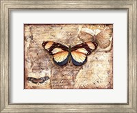 Poetic Butterfly I Fine Art Print