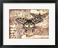 Poetic Butterfly II Fine Art Print