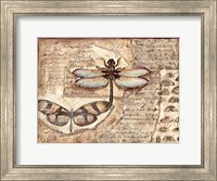 Poetic Dragonfly I Fine Art Print