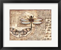 Poetic Dragonfly I Fine Art Print