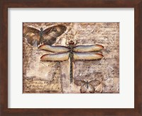 Poetic Dragonfly II Fine Art Print