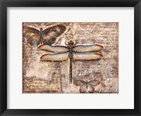 Poetic Dragonfly II Fine Art Print