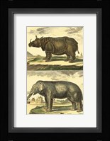 Elephant and Rhino Fine Art Print