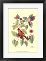 The Chatterer Fine Art Print