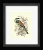 Roller Fine Art Print