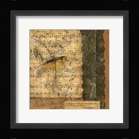 Bird Melody II Framed Print