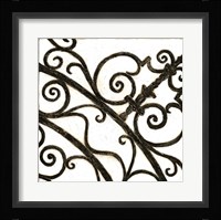 Iron Gate II Framed Print
