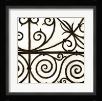 Iron Gate IV Framed Print