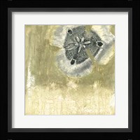 Celadon in Bloom I Framed Print