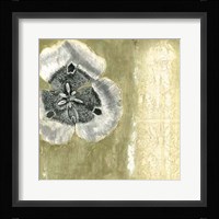 Celadon in Bloom II Framed Print