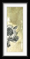 Celadon in Bloom III Framed Print