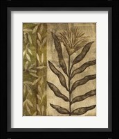Plant Exotica I Framed Print