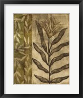 Plant Exotica I Fine Art Print