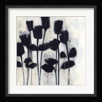 Roses II Framed Print