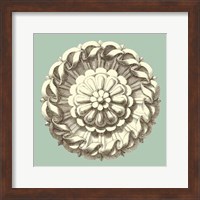 Celadon and Mocha Rosette IV Fine Art Print