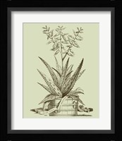 Vintage Aloe III Fine Art Print