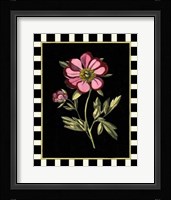 Pink Peony II Fine Art Print