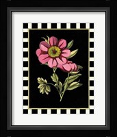 Pink Peony III Fine Art Print