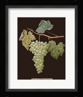 White Grapes Fine Art Print