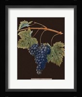 Purple Grapes Framed Print